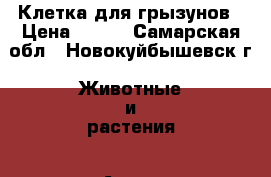 Клетка для грызунов › Цена ­ 100 - Самарская обл., Новокуйбышевск г. Животные и растения » Аксесcуары и товары для животных   